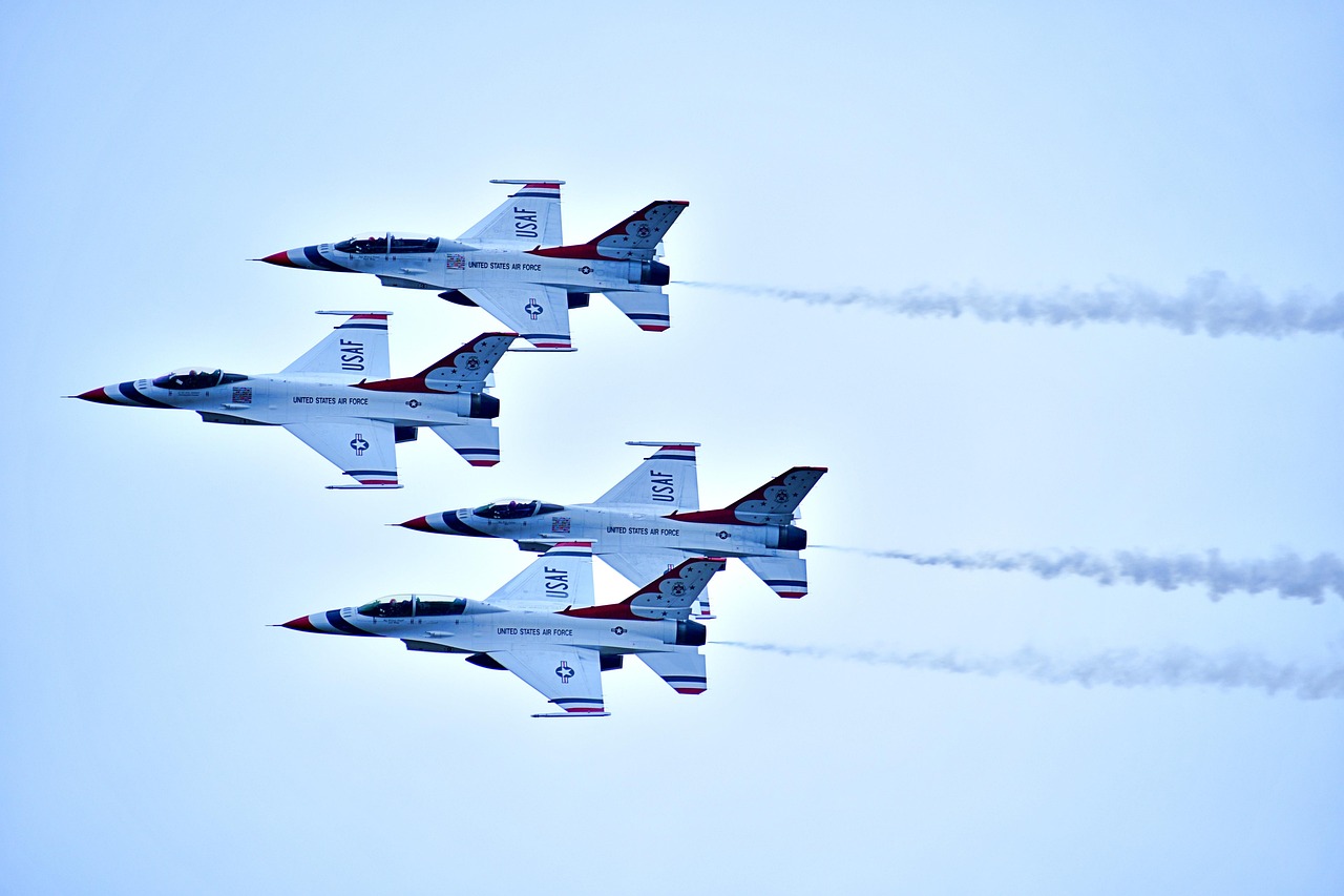 洪荒文明：宠物托运 代理平台